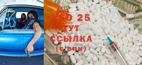 шишки Вяземский