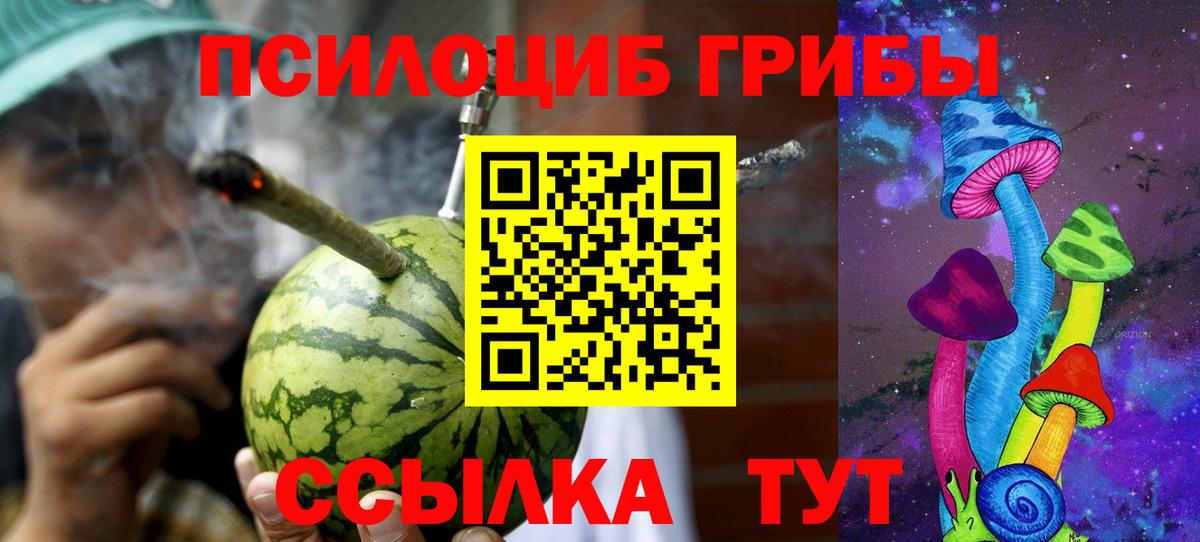Псилоцибиновые грибы GOLDEN TEACHER Гулькевичи