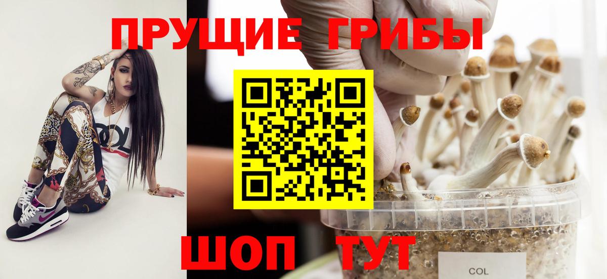 Псилоцибиновые грибы Magic Shrooms  Гулькевичи  Псилоцибиновые грибы GOLDEN TEACHER 