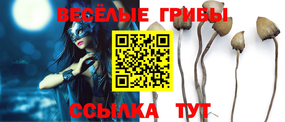 Галлюциногенные грибы Magic Shrooms  Галлюциногенные грибы Cubensis  Вход с VPN  Гулькевичи 
